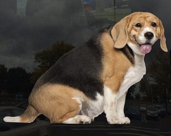 Chunky Beagle Window Cling - Vibrant Static Cling Window Cling Indoor and Outdoor!