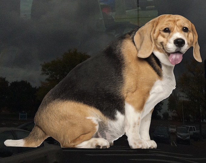 Chunky Beagle Window Cling - Vibrant Static Cling Window Cling Indoor and Outdoor!