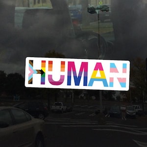 Rechteck Human Fortschritt LGBTQ+ Flaggen Regenbogen Lesben Bisexual Pansexual Transgender Asexual - Lebendiger Vinyl Aufkleber Aufkleber