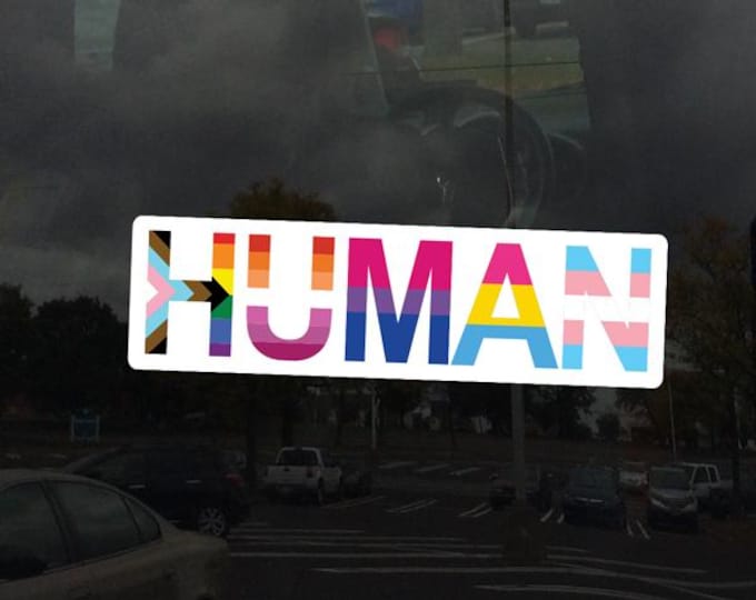 Rectangle Human Progress LGBTQ+ Flags Rainbow Lesbian Bisexual Pansexual Transgender Asexual - Vibrant Vinyl Decal Sticker