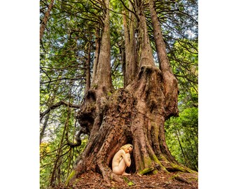 Junihon Yasu Hiba Humbled –TreeGirl Fine Art Nude Photographic Print on Canvas