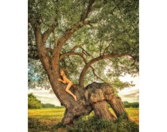 Hemingford Abbots Willow Beast –TreeGirl Fine Art Nude Photographic Print on Canvas