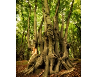 Epping Beech Altar –TreeGirl Fine Art Nude Photographic Print on Canvas