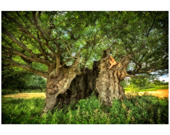 Queen Elizabeth Oak Habitat –TreeGirl Fine Art Nude Photographic Print on Canvas – MADE TO ORDER