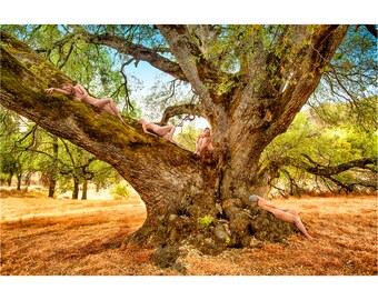 Canyon Live Oak Maidens I –TreeGirl Fine Art Nude Photograph on Canvas