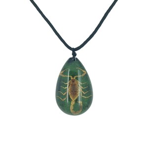 Real Scorpion Green And Black Resin Pendant