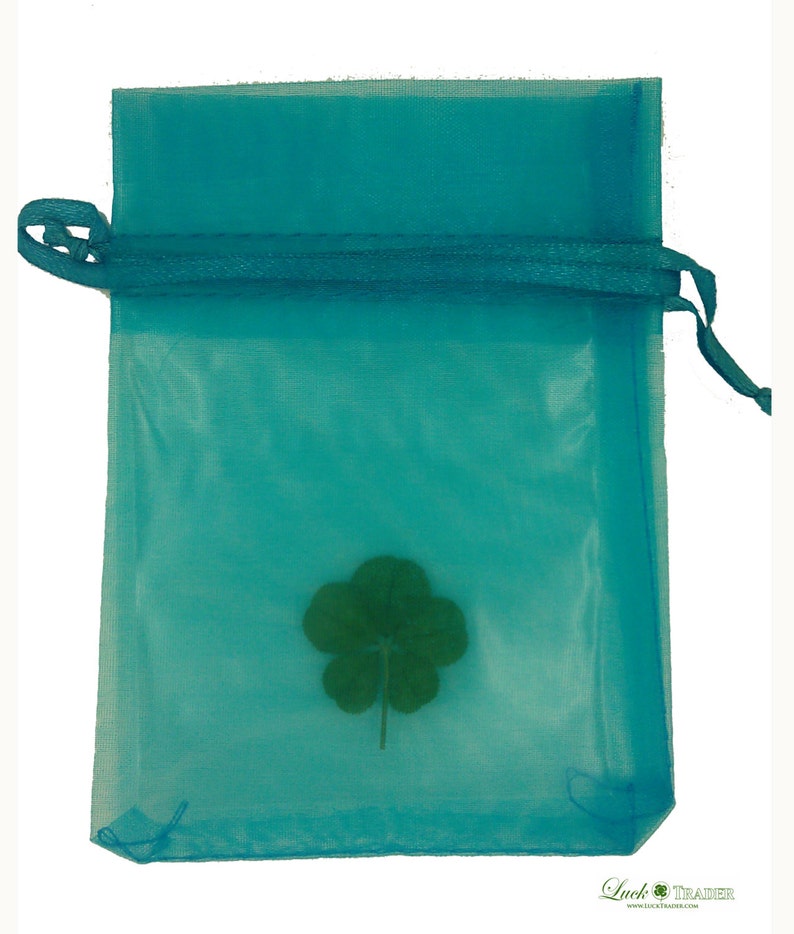 Lucky Real Five Leaf Clover From the White Clover Plant Etsy