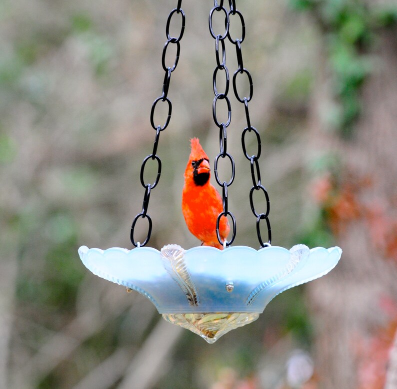 Granola Bird Seed Backyard Bird Attracting Food for Bird Etsy