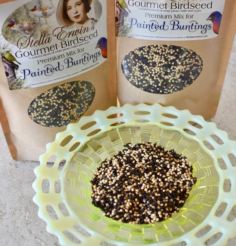Bird food blend for Painted Buntings 2 pound bag of gourmet Etsy