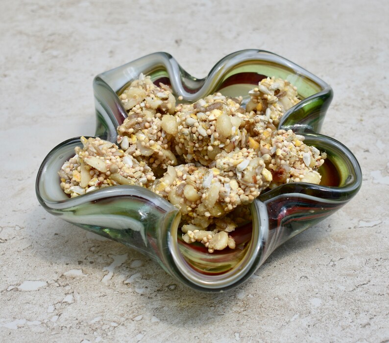 Granola Bird Seed Backyard Bird Attracting Food for Bird Etsy