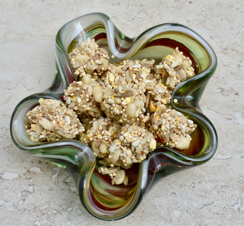 Granola Bird Seed Backyard Bird Attracting Food for Bird Etsy