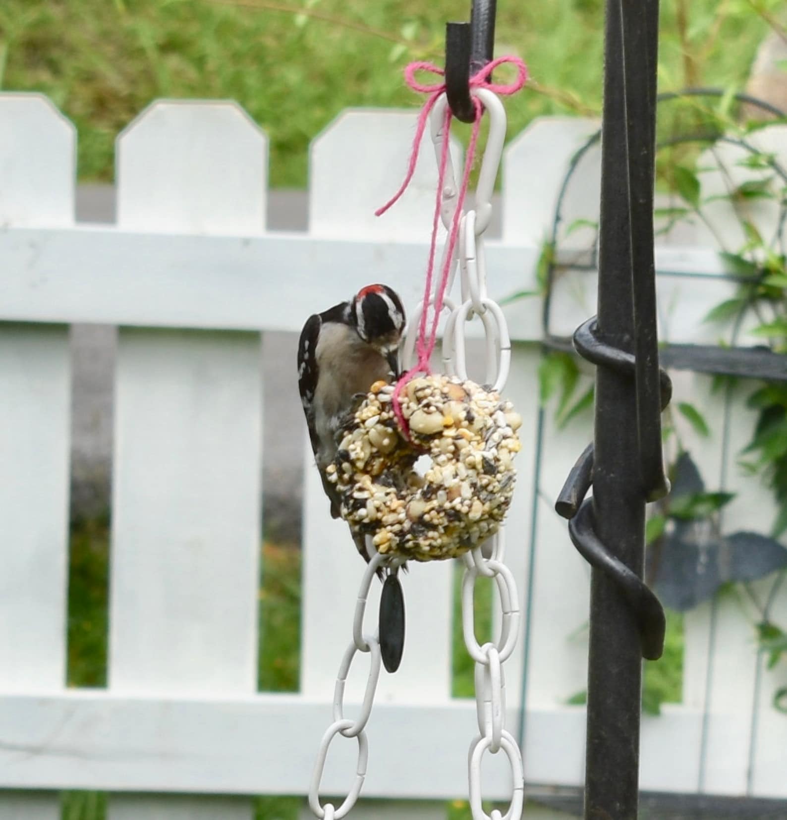 Bird Watcher Gift Box Feeder Kit for Bird Lovers Wildbird Etsy