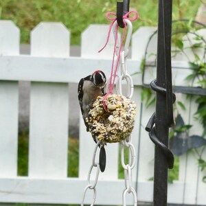 Bird watcher gift box, feeder kit for bird lovers, wildbird supplies, bird nest, nesting balls, birdseed ornaments, Goldfinch, Woodpecker image 7