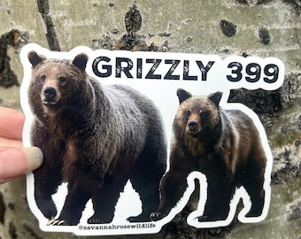 Grizzly 399 and cub Vinyl Sticker