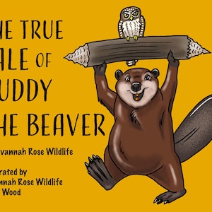 May include: A children's book cover with the title "THE TRUE TALE OF BUDDY THE BEAVER" on a yellow background. A cartoon beaver holds a log above its head, with an owl perched on top. The book is by Savannah Rose Wildlife.