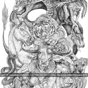 ZODIAC - Artistic Representation of the Chinese Zodiac