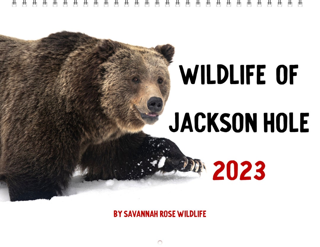 2023-wildlife-of-jackson-hole-calendar-by-savannah-rose-etsy