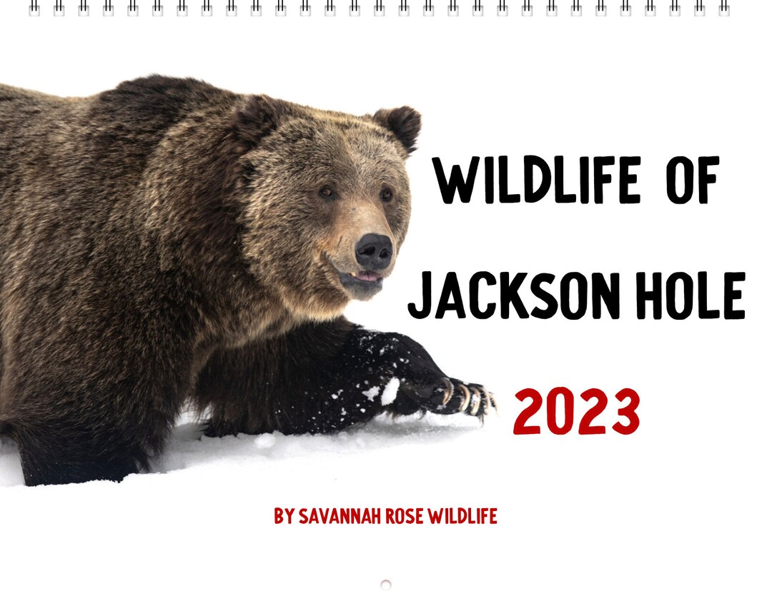 2023 Wildlife Of Jackson Hole Calendar By Savannah Rose Etsy