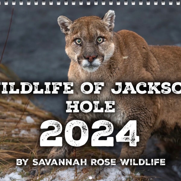 Wildlife Etsy wildlife-etsy