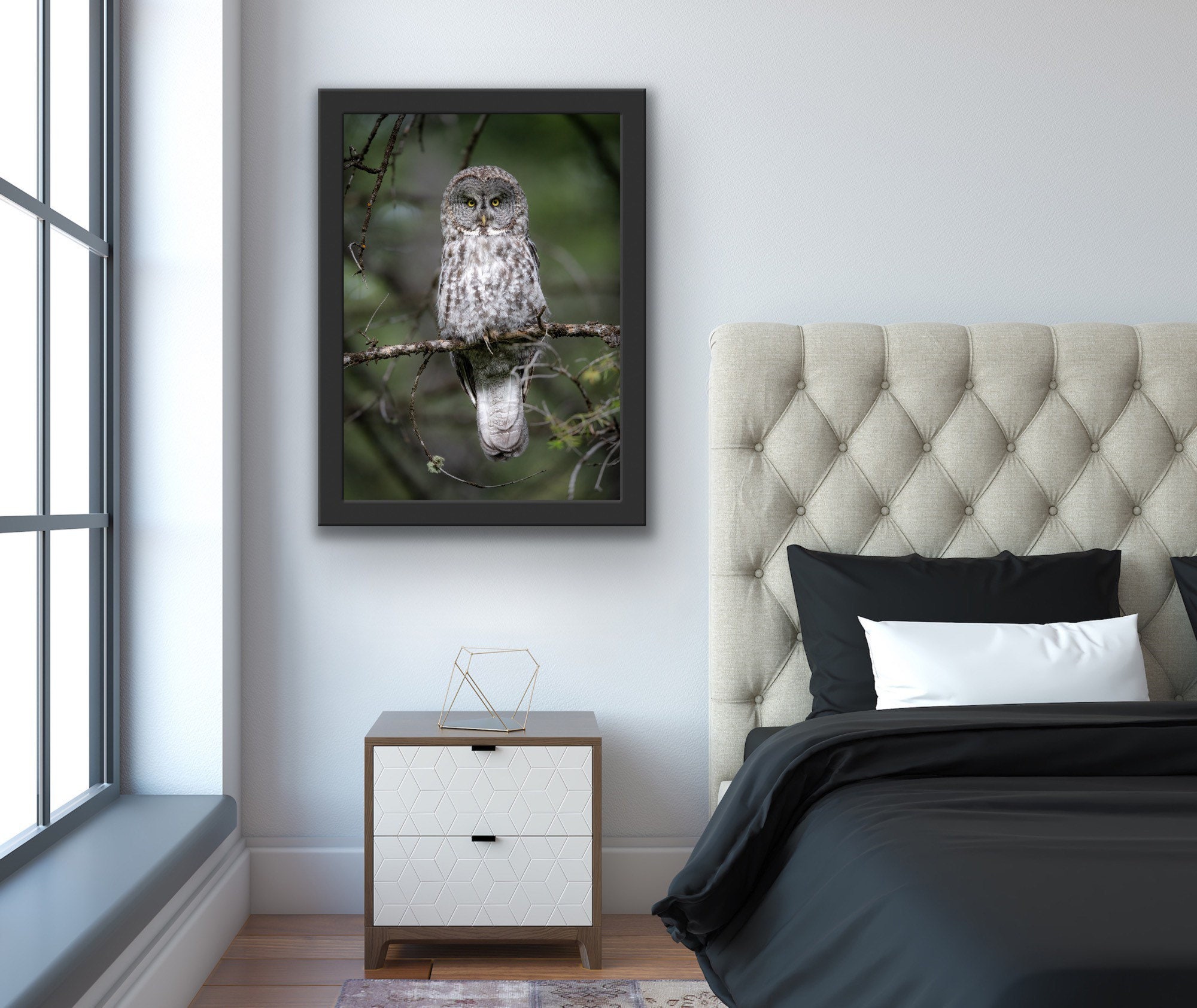 Great Gray Owl Giclee Print - Etsy