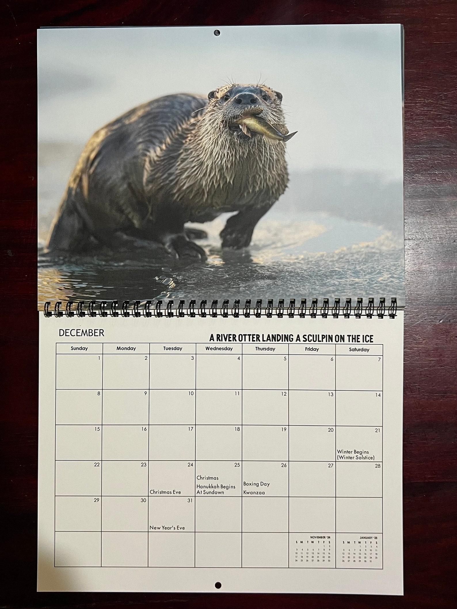2024 Wildlife of Jackson Hole Calendar Etsy