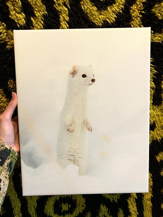 水彩画　ジクレー版画「雪の金明竹」（高良山／久留米市） 雪の中に立つイタチ - ジクレー版画 - Etsy 日本