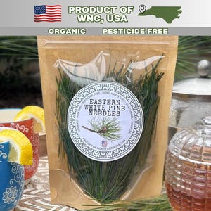 Organic Pine Needle Tea: Fresh Eastern White Pine, Pinus Strobus
