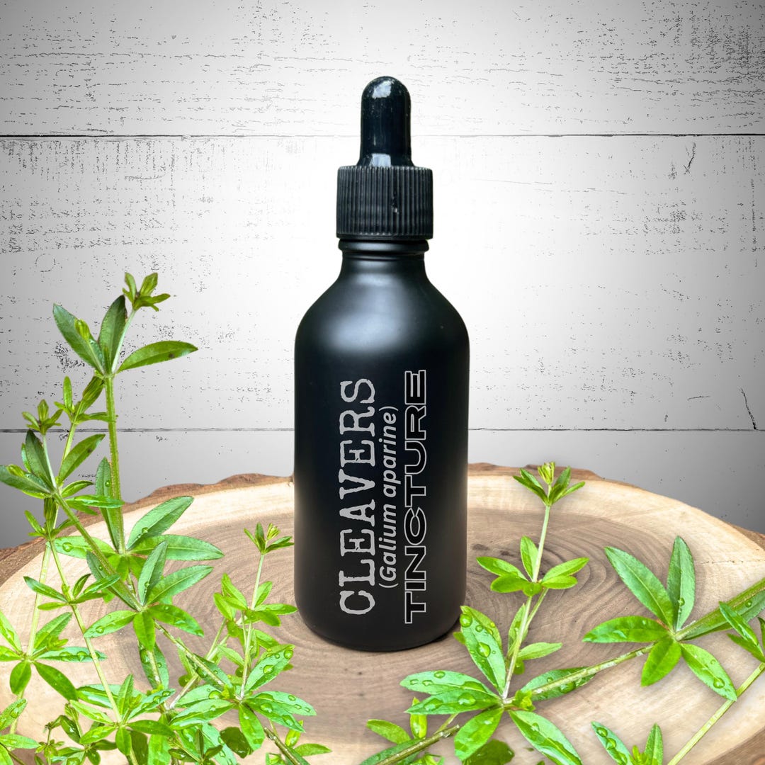 Cleavers Tincture : Galium Aparine, 2 Oz Glass Bottle, Lymphatic ...