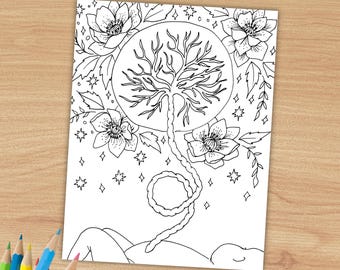 Página para colorear de PLACENTA / hoja para colorear de arte de nacimiento / arte de placenta / doula / partera / parto en casa