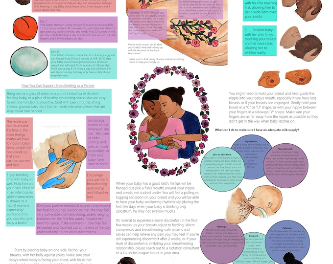 DIGITAL Journey of Breastfeeding Poster/ Childbirth Education/