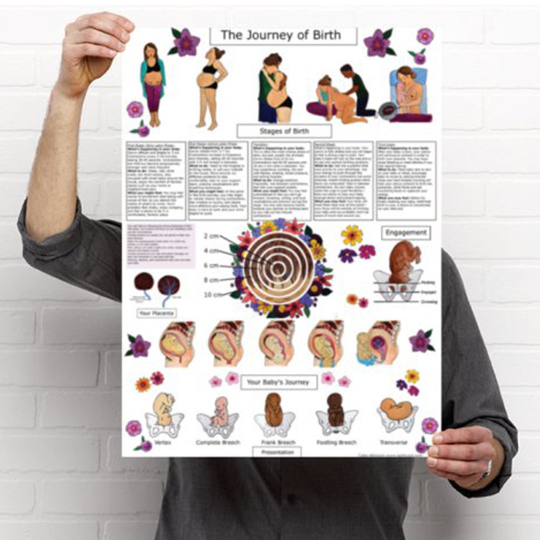 DIGITAL Journey of Birth Poster/ Childbirth Education/ Etsy