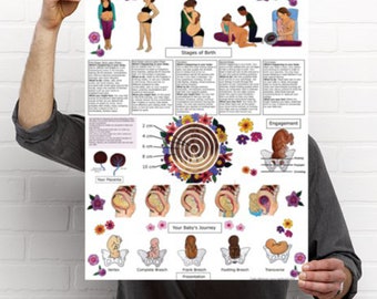 DIGITAL Journey of Birth Poster/ Childbirth Education/