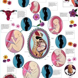Póster DIGITAL "Viaje del Embarazo" / Educación sobre el Parto / Embarazo / Doula / Matrona