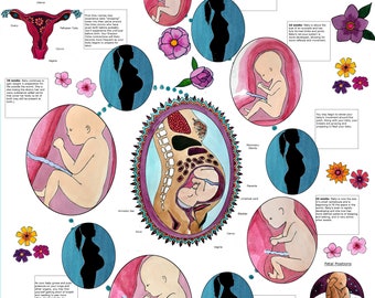 DIGITAL Journey of Pregnancy Poster/ Childbirth Education/ Pregnancy/ Doula/ Midwife