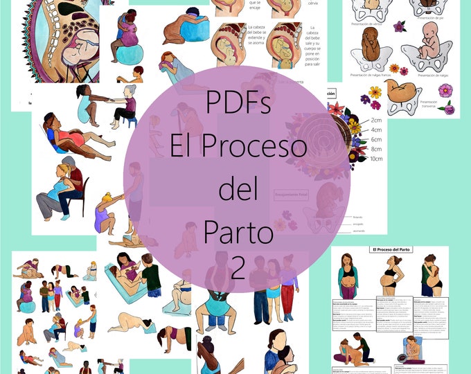 El Proceso del Parto PDFs Grupo 2