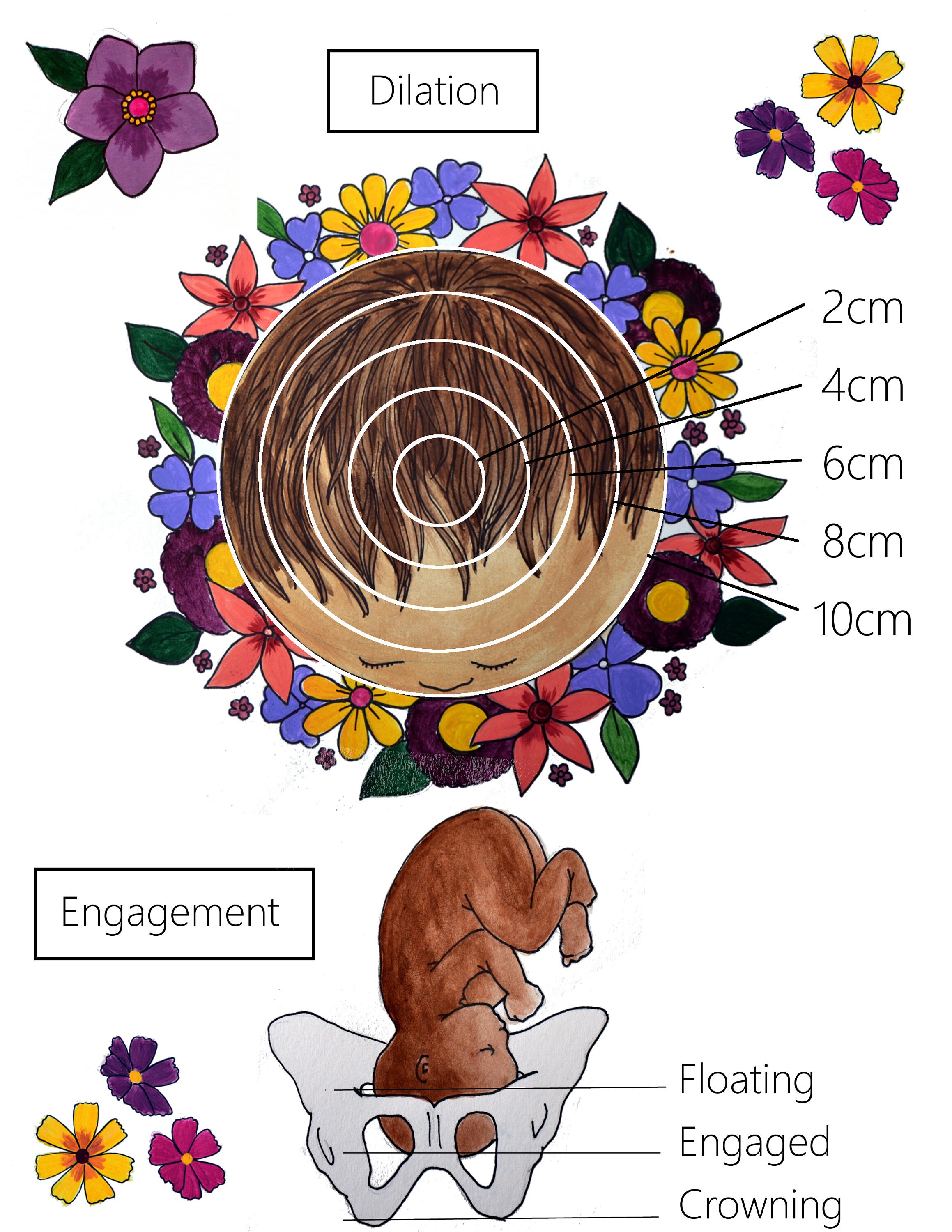 Childbirth Education Slides/ Set 1/ Slides 15/ PDFs/ Midwife/ Doula