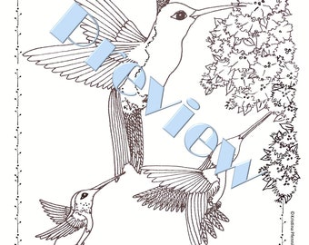 Hummingbird Art/Printable Coloring Pages/Birds