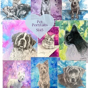 Pet Portrait