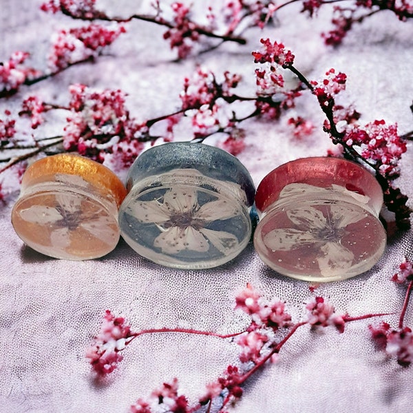 Real,pressed,cherry,blossom,flower,resin,plugs,gauged,earrings,mother's,day,spring,clear,gold,red,pink,pearl,grey,28mm,26mm,24mm,22mm,20mm,