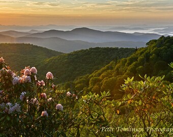 Mills River Valley Overlook at sunrise, Blue Ridge Parkway,North Carolina: archival print signed and matted