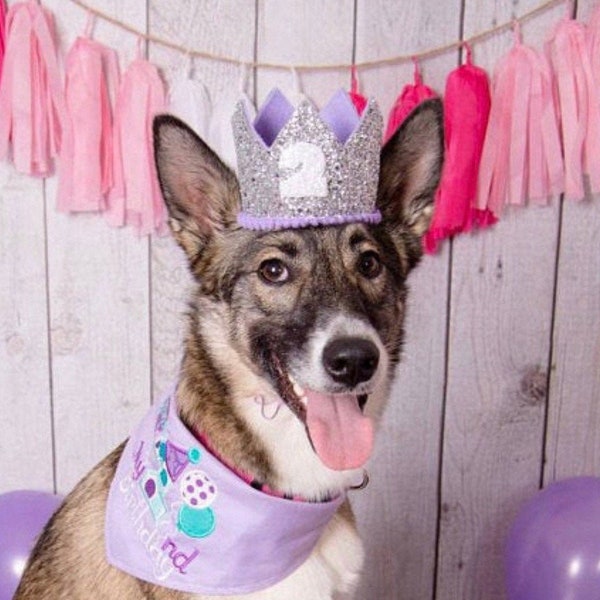 Dog First Birthday Crown || Birthday Dog || Birthday Party Hat || Cake Smash || 1st Birthday || Birthday Crown || Pet Birthday