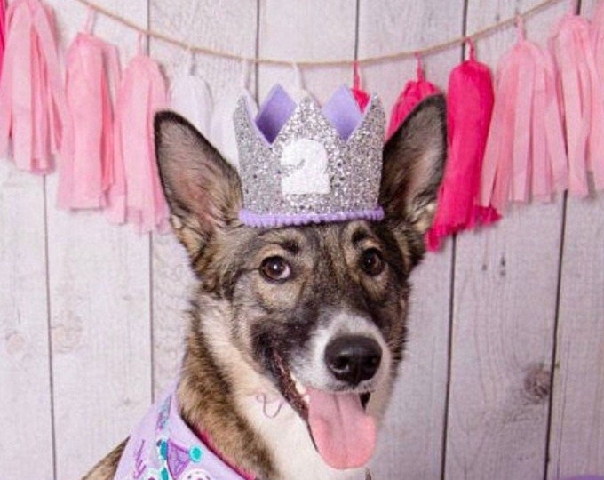 Dog First Birthday Crown || Birthday Dog || Birthday Party Hat || Cake Smash || 1st Birthday || Birthday Crown || Pet Birthday