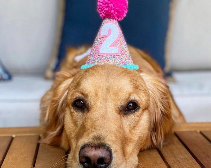 Dog Birthday Hat| Pet Party Hat | Puppy Birthday | First Birthday | Puppy first Birthday | Birthday Party Decor ,Birthday