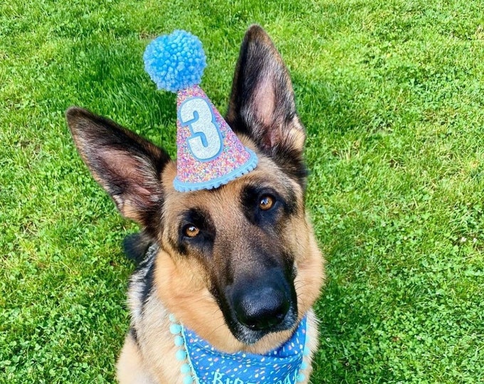 Dog Birthday Hat| Pet Party Hat | Puppy Birthday | First Birthday | Puppy first Birthday | Birthday Party Decor ,Birthday | Boy Dog Birthday