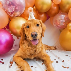 Mini Party Hat | Puppy Party Hat | Birthday Hat | First Birthday Hat | 2nd Birthday Hat | Peach and Gold Birthday Hat | Gold Birthday Hat