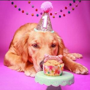 Dog Birthday Hat| Pet Party Hat | Puppy Birthday | First Birthday | Puppy first Birthday | Birthday Party Decor ,Birthday