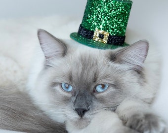 Mini Glitter Leprechaun Hat Top Hat | St. Patrick's Day Hat  || Dog Hat || Top Hat Cat Hat