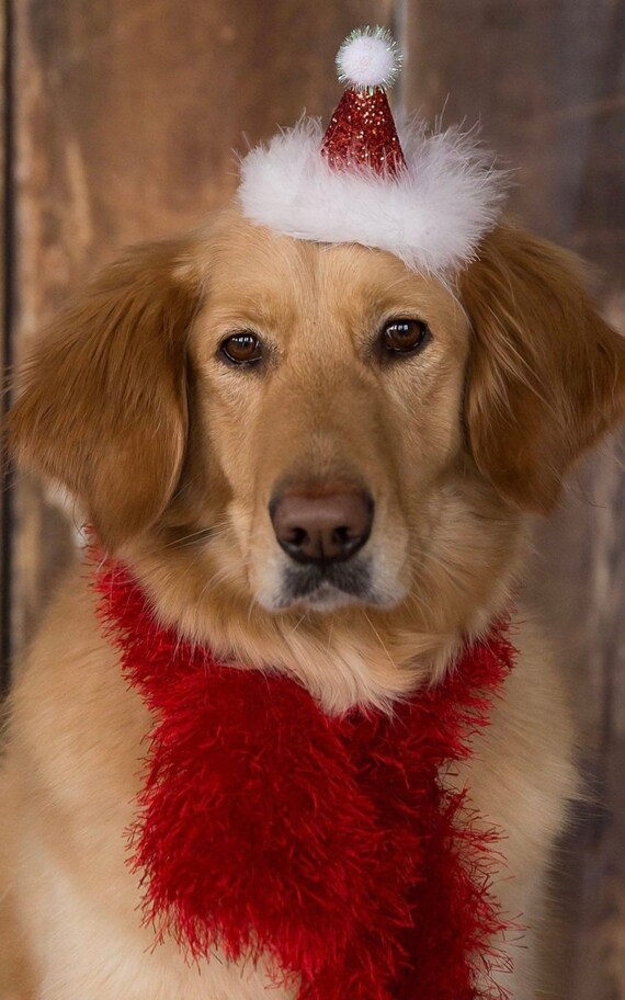 Birthday santa hat deals