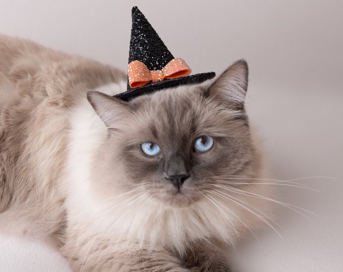 Pet Halloween Glittery Mini Witch Hat Headband