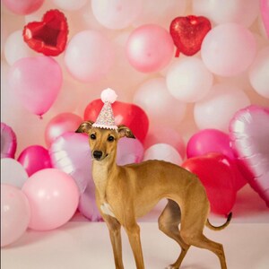 Dog Birthday Hat| Pet Party Hat | Puppy Birthday | First Birthday | Puppy first Birthday | Birthday Party Decor ,Birthday | Gir Dog Birthday image 2